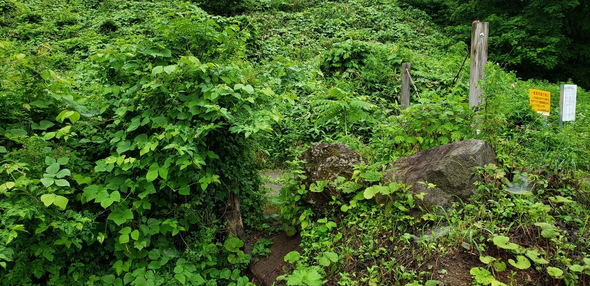 f:id:serow2012:20200630213936j:plain
