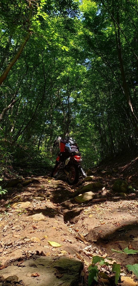 f:id:serow2012:20200825152707j:plain