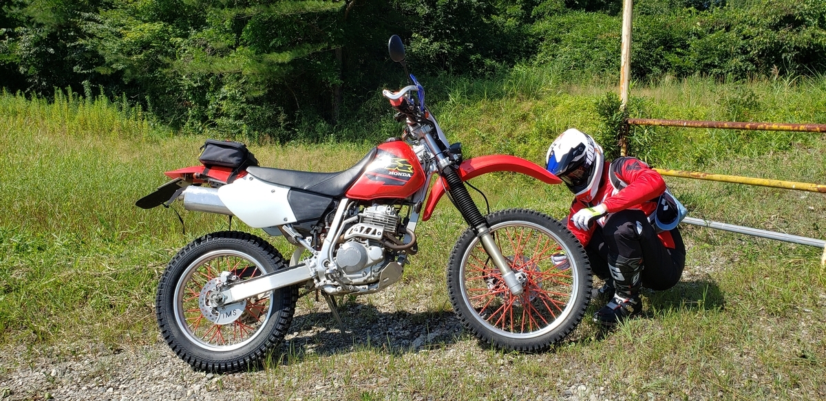 f:id:serow2012:20200825153515j:plain