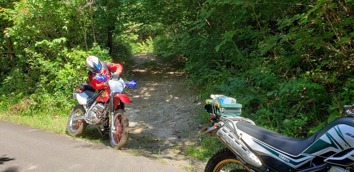 f:id:serow2012:20200825155445j:plain