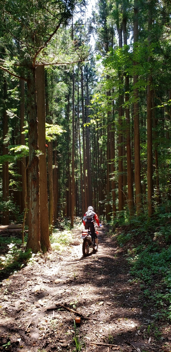 f:id:serow2012:20200825155739j:plain