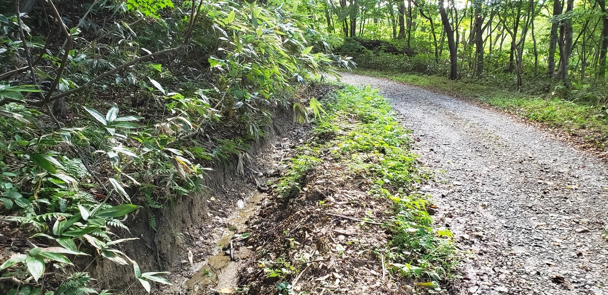 f:id:serow2012:20200903023415j:plain