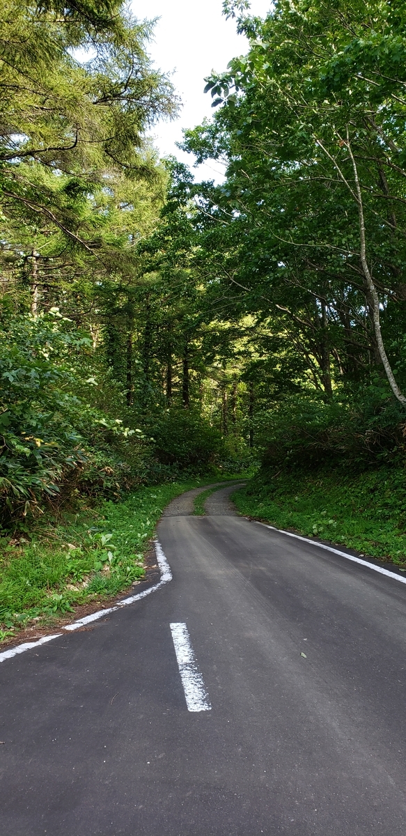 f:id:serow2012:20200903231312j:plain