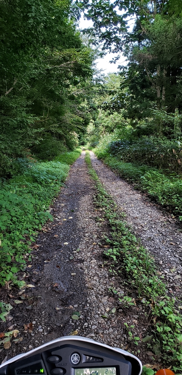 f:id:serow2012:20200903231551j:plain