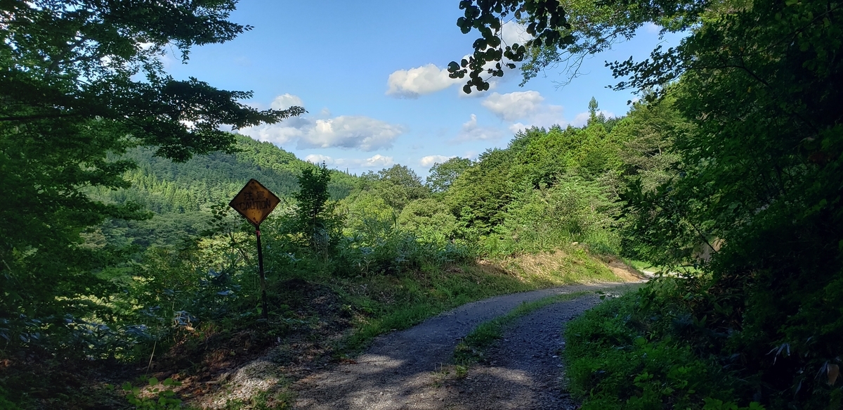 f:id:serow2012:20200903231715j:plain