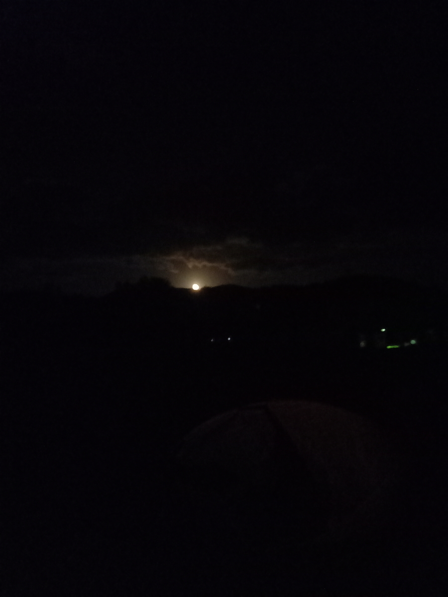 f:id:serow2012:20201015220258j:plain