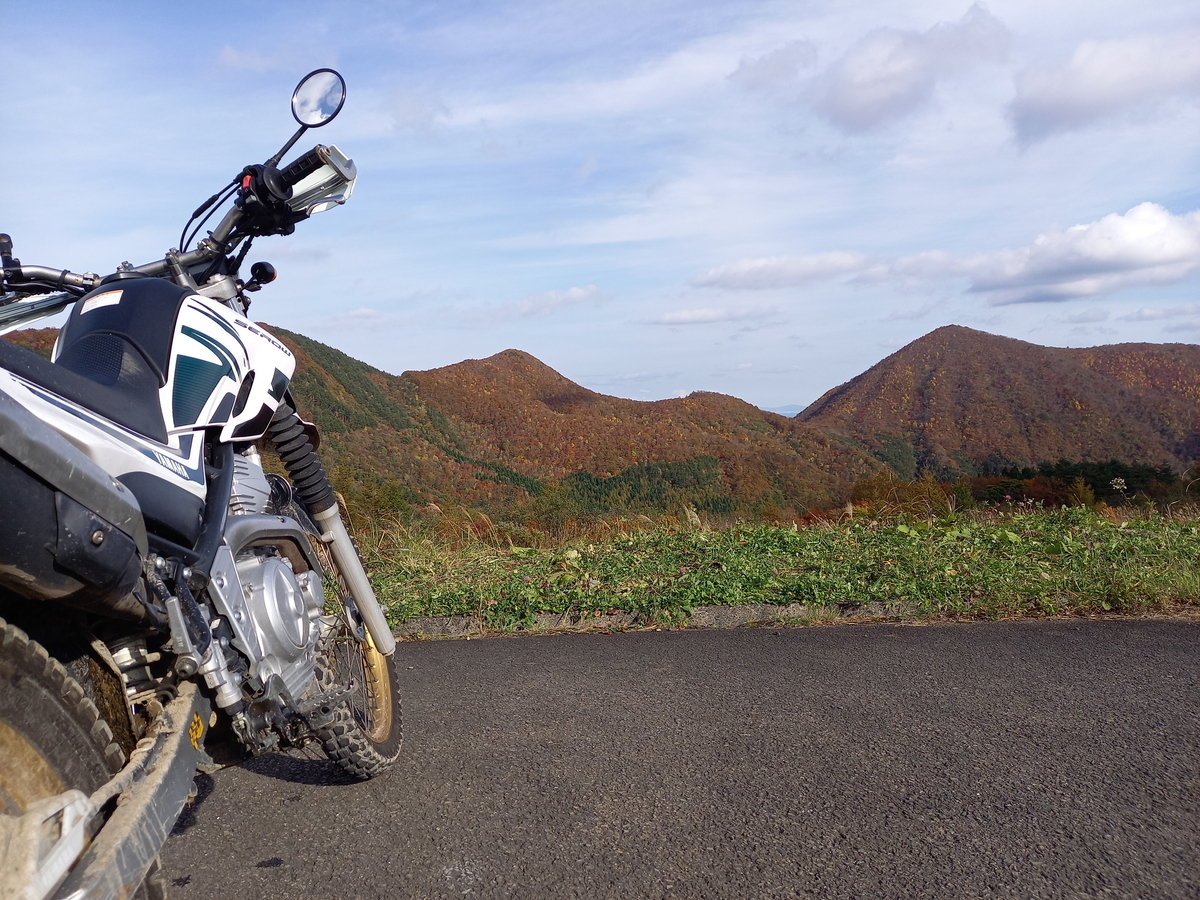 f:id:serow2012:20201029175256j:plain