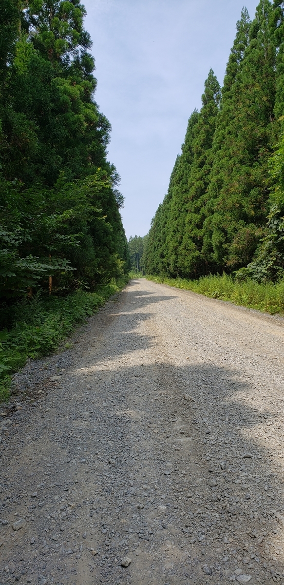 f:id:serow2012:20201126185859j:plain