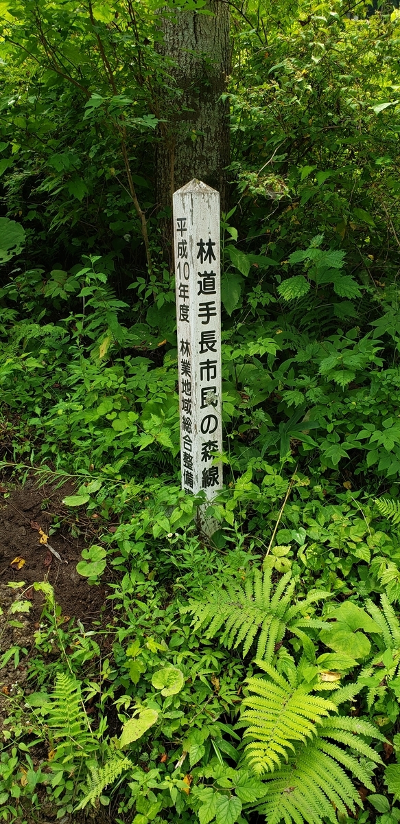 f:id:serow2012:20201202121247j:plain