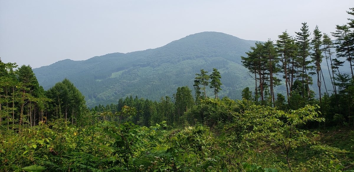 f:id:serow2012:20210108171718j:plain