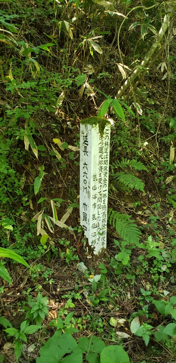 f:id:serow2012:20210108172429j:plain