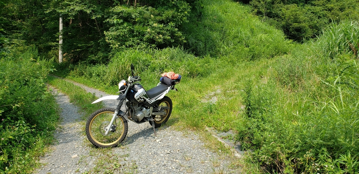 f:id:serow2012:20210108172908j:plain