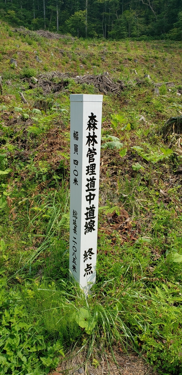 f:id:serow2012:20210113224221j:plain