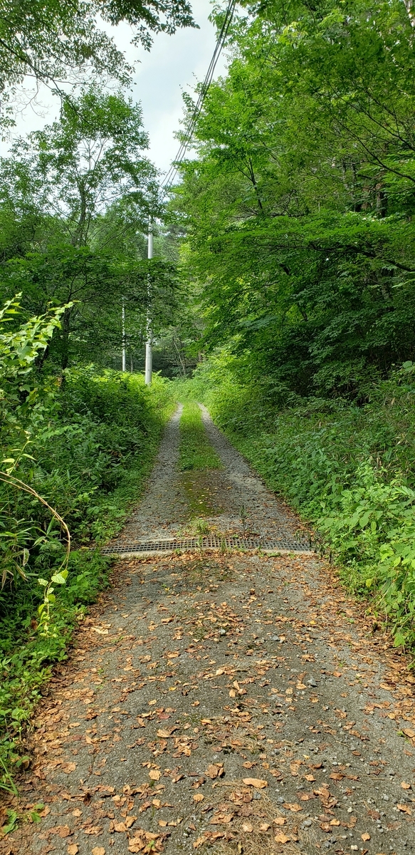 f:id:serow2012:20210113224349j:plain