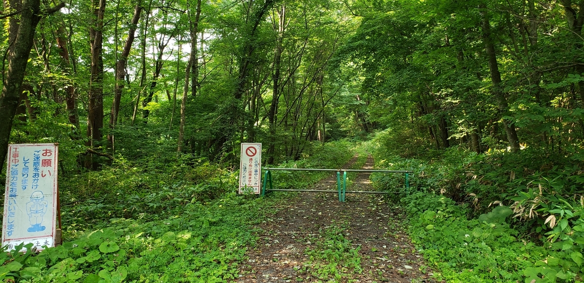 f:id:serow2012:20210113224437j:plain