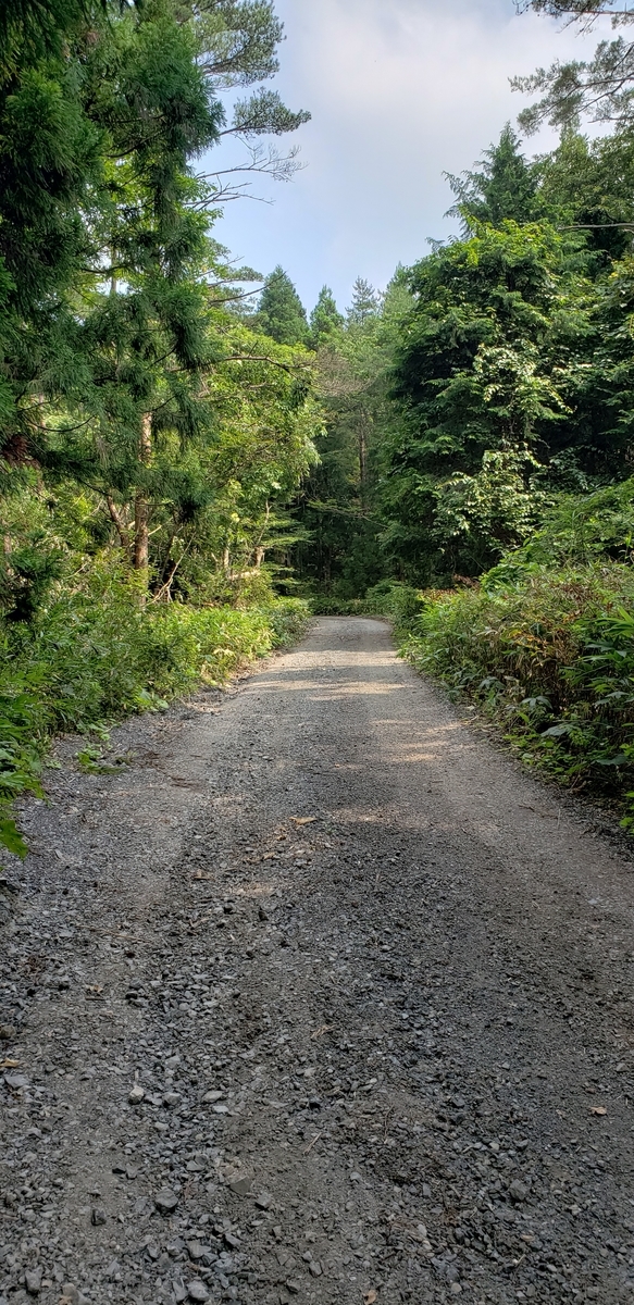 f:id:serow2012:20210126171521j:plain