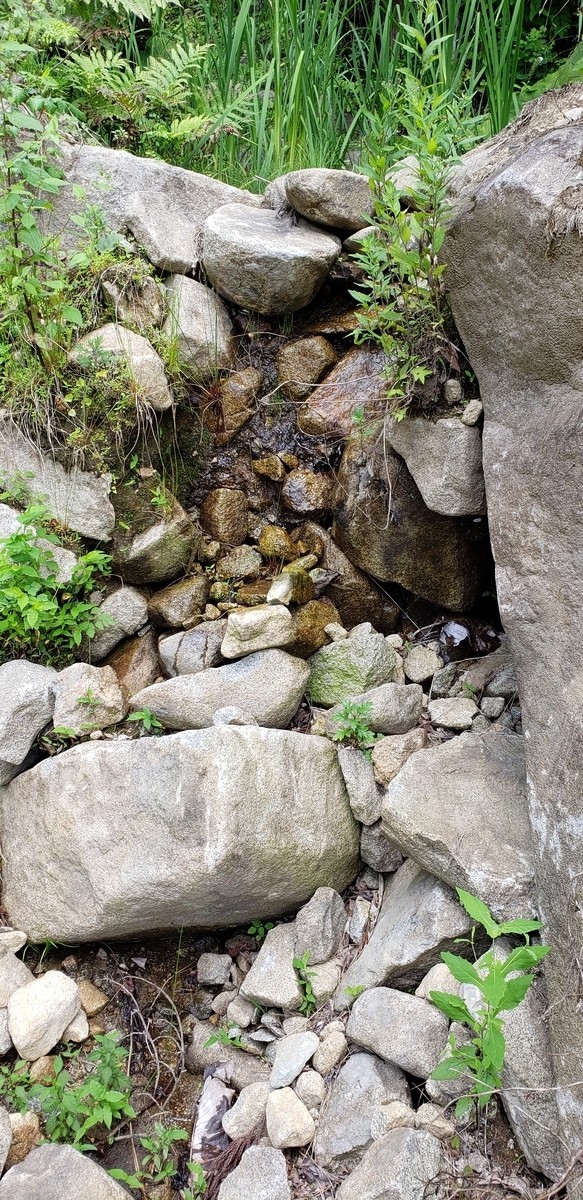 f:id:serow2012:20210126173947j:plain