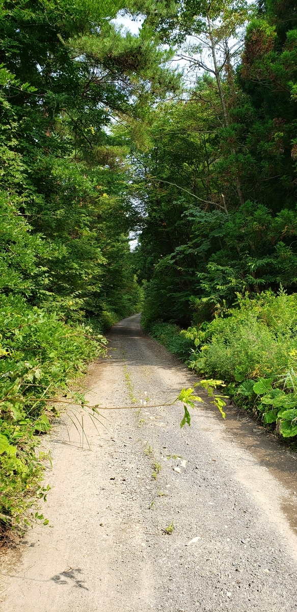 f:id:serow2012:20210126174059j:plain