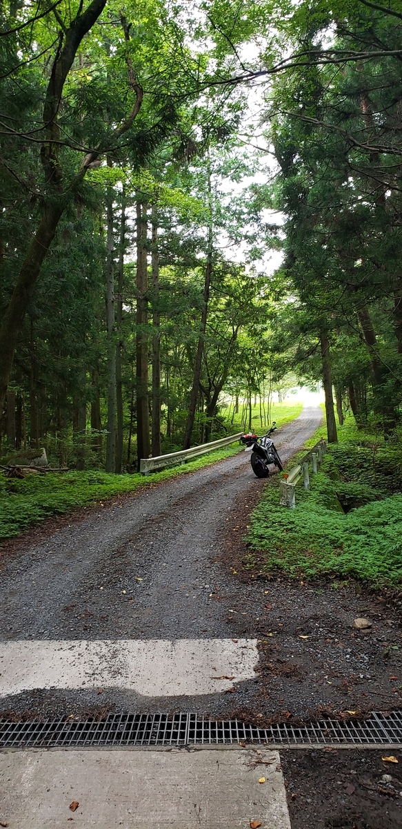 f:id:serow2012:20210219145518j:plain