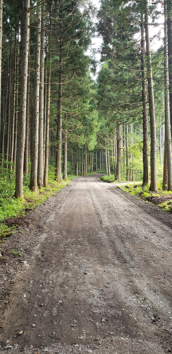 f:id:serow2012:20210219145546j:plain