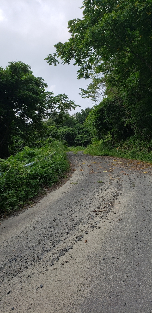 f:id:serow2012:20210219145708j:plain