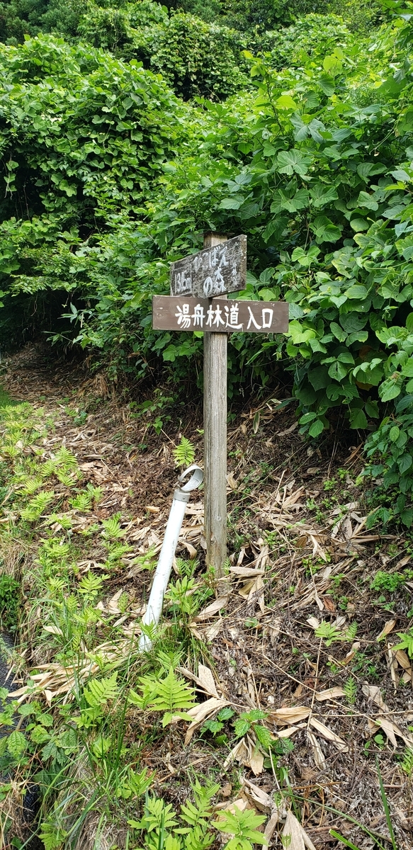 f:id:serow2012:20210225171916j:plain