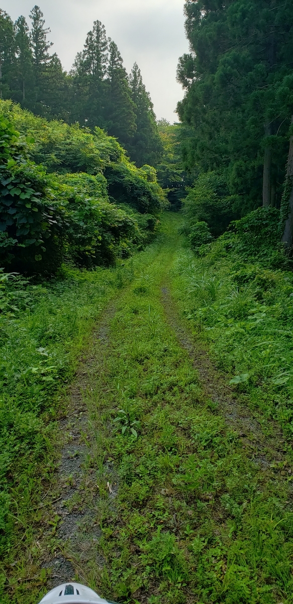 f:id:serow2012:20210225172042j:plain