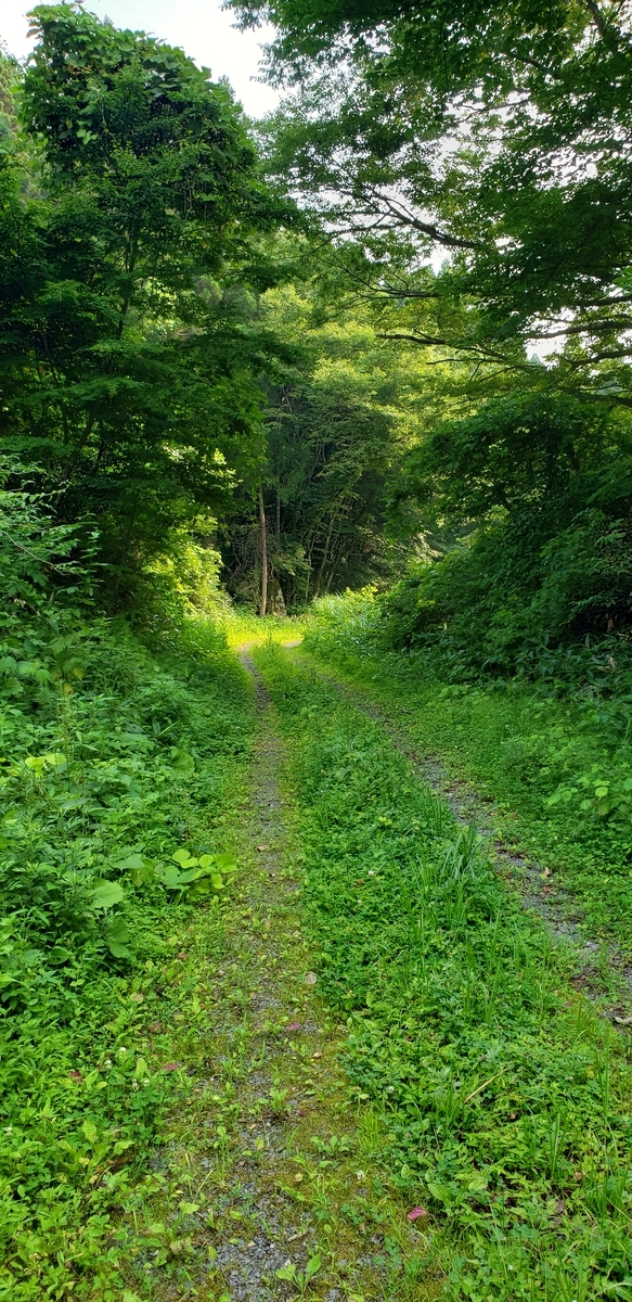 f:id:serow2012:20210225172214j:plain