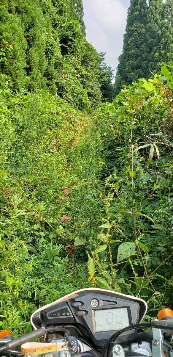 f:id:serow2012:20210225172626j:plain