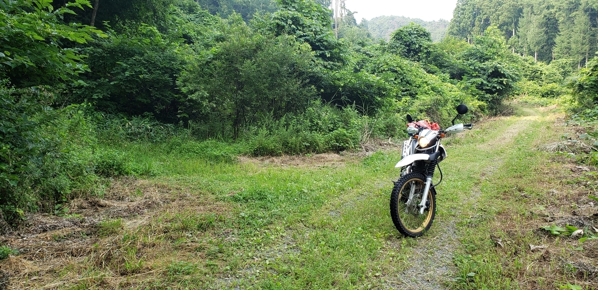 f:id:serow2012:20210225172753j:plain