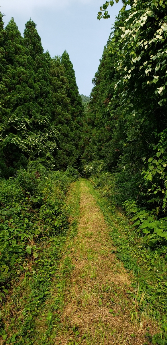 f:id:serow2012:20210306114008j:plain