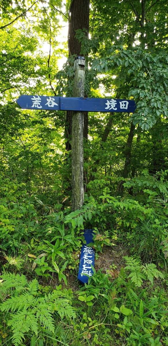 f:id:serow2012:20210306114213j:plain