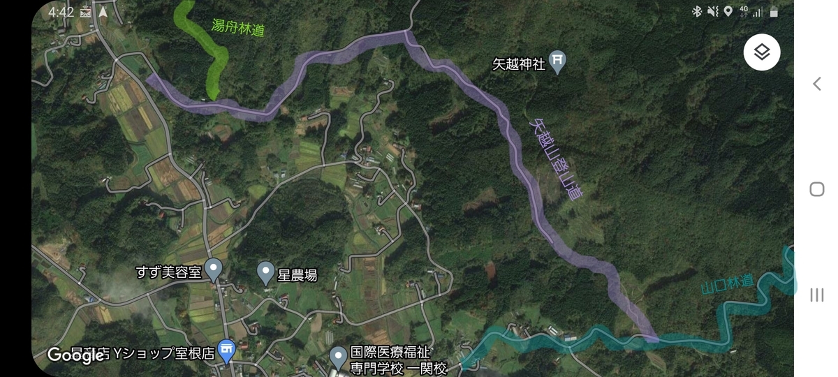 f:id:serow2012:20210312172223j:plain