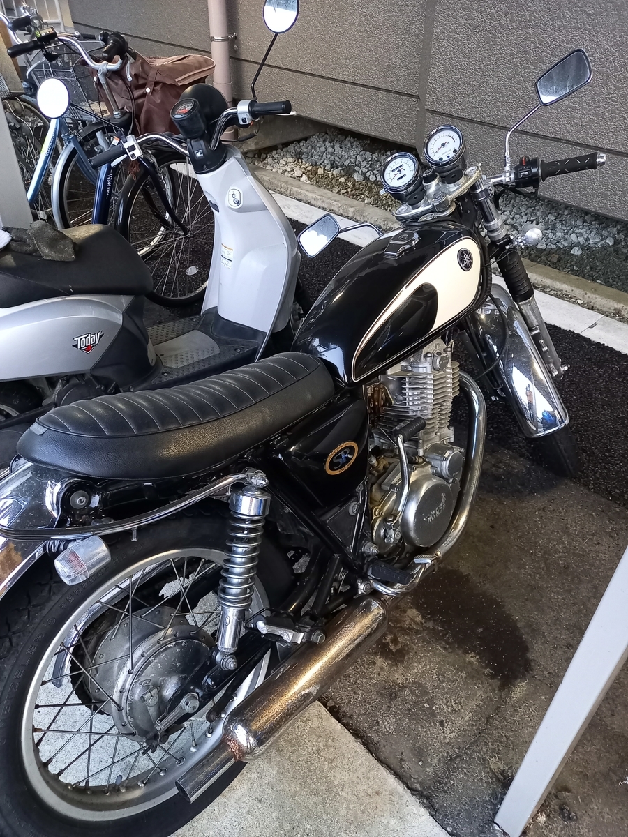 f:id:serow2012:20210404135557j:plain