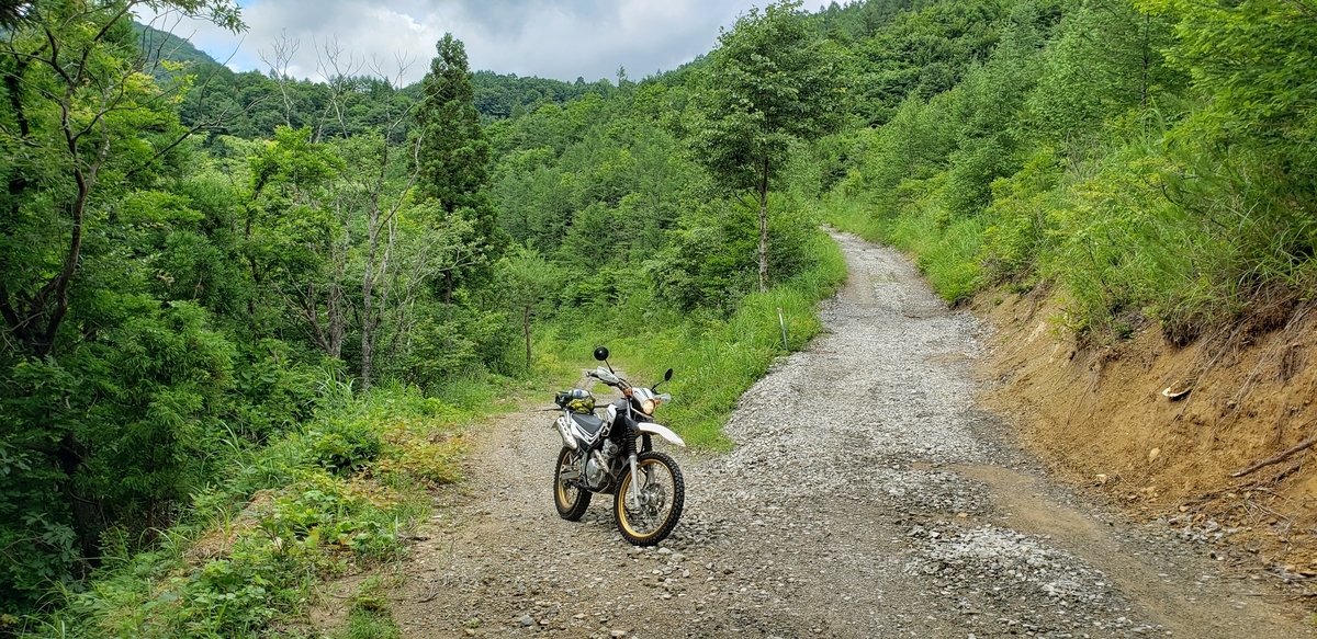 f:id:serow2012:20210626090116j:plain