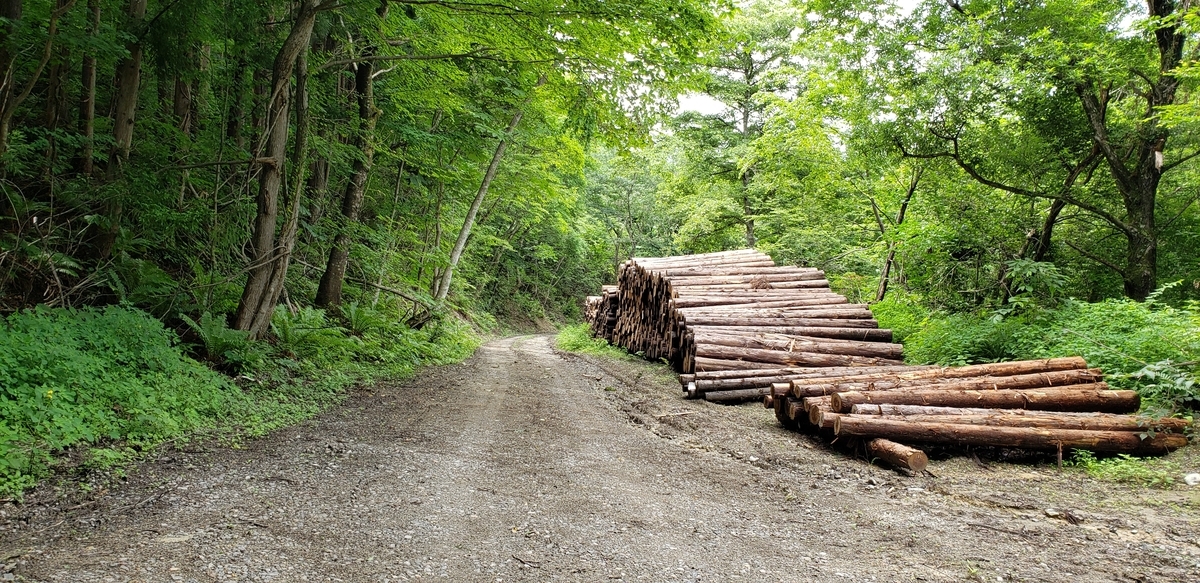 f:id:serow2012:20210626121503j:plain