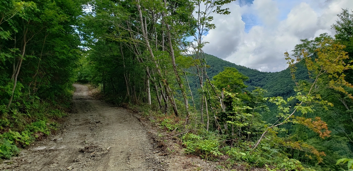 f:id:serow2012:20210626121631j:plain