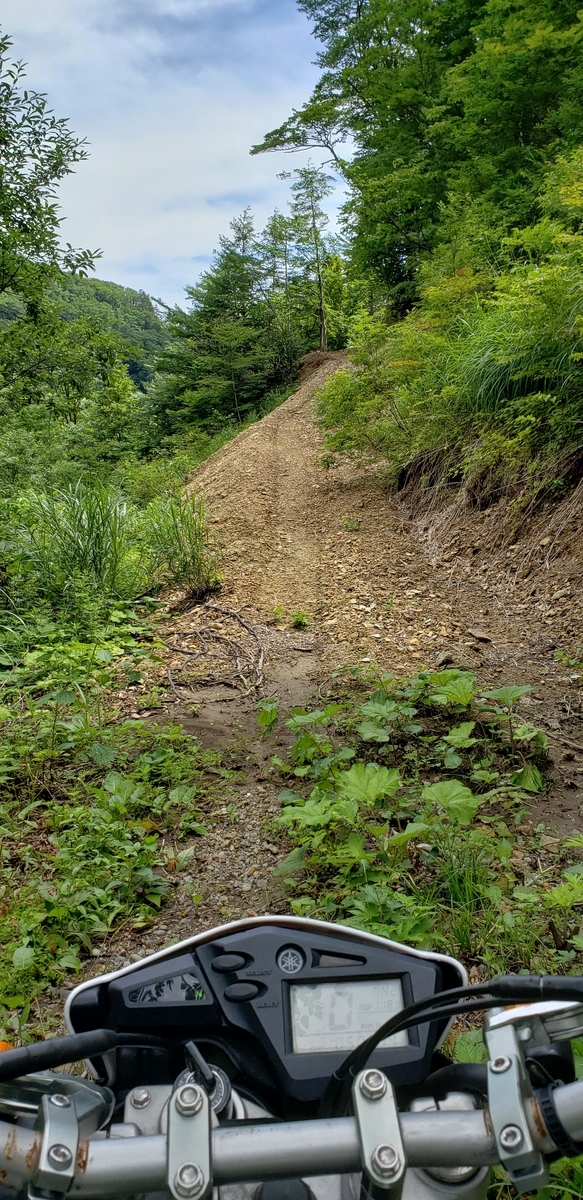 f:id:serow2012:20210626122129j:plain