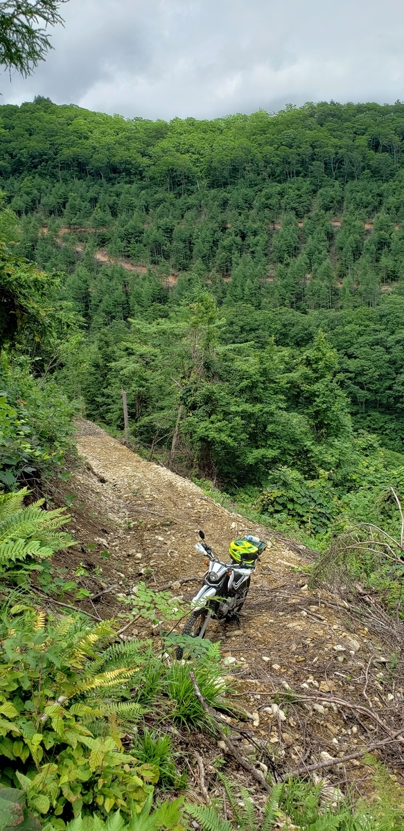 f:id:serow2012:20210626140524j:plain