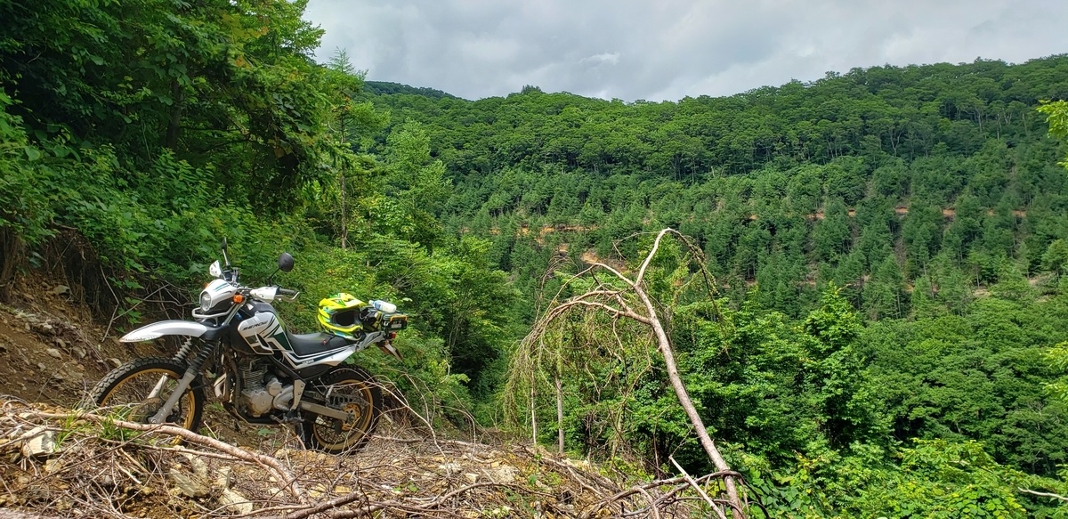 f:id:serow2012:20210626140657j:plain