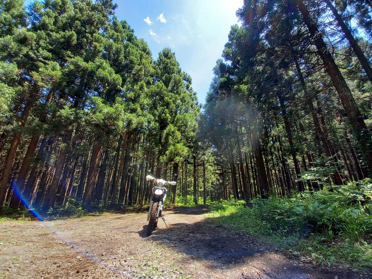 f:id:serow2012:20210724215943j:plain
