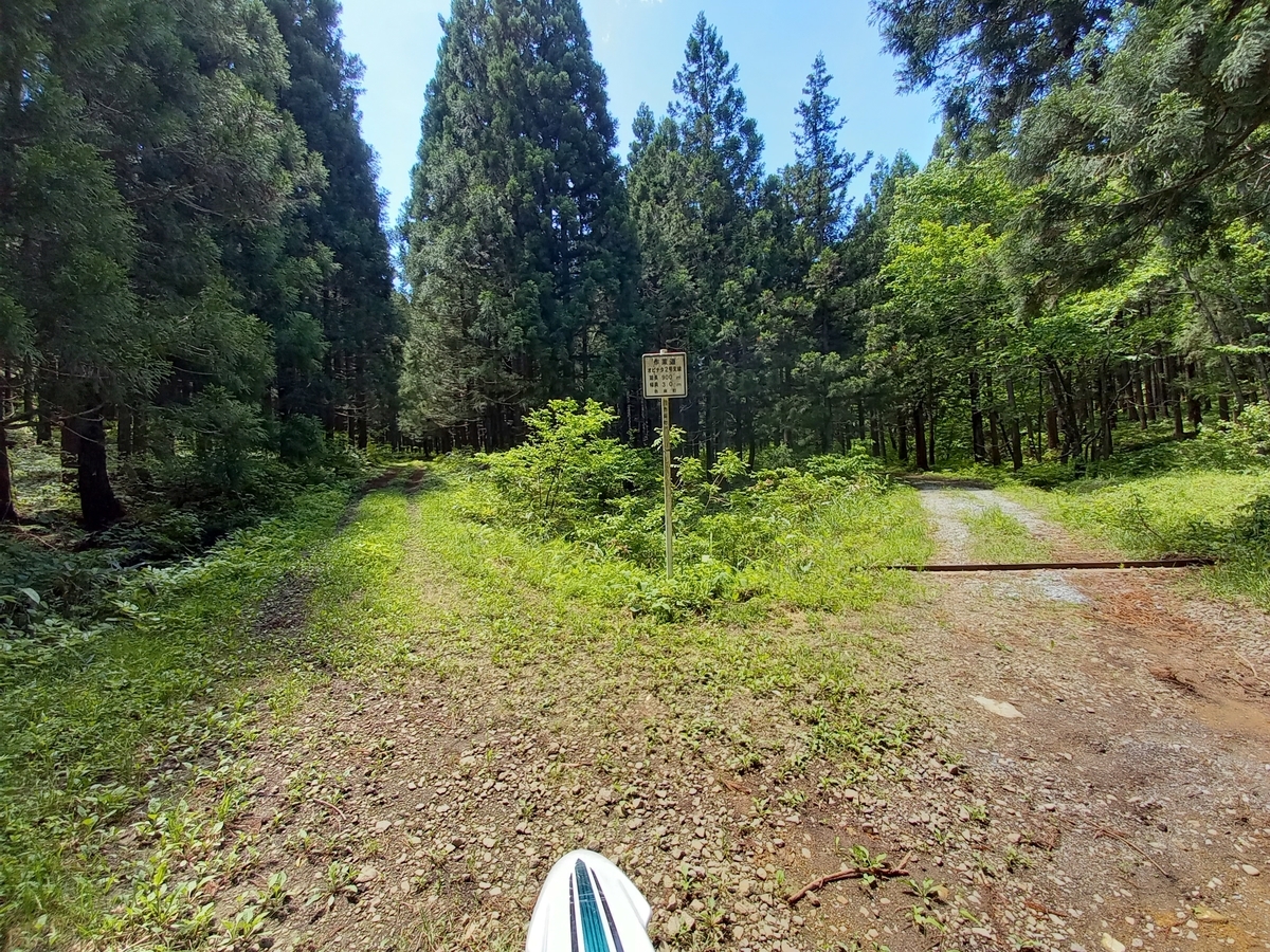 f:id:serow2012:20210724220103j:plain