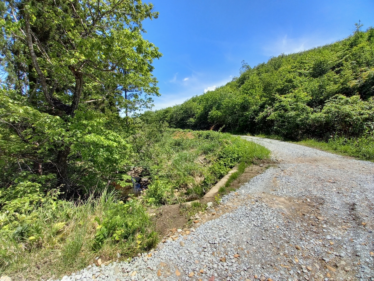 f:id:serow2012:20210815113628j:plain