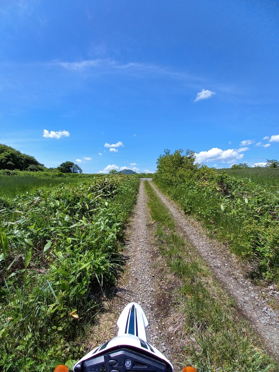 f:id:serow2012:20210815113953j:plain