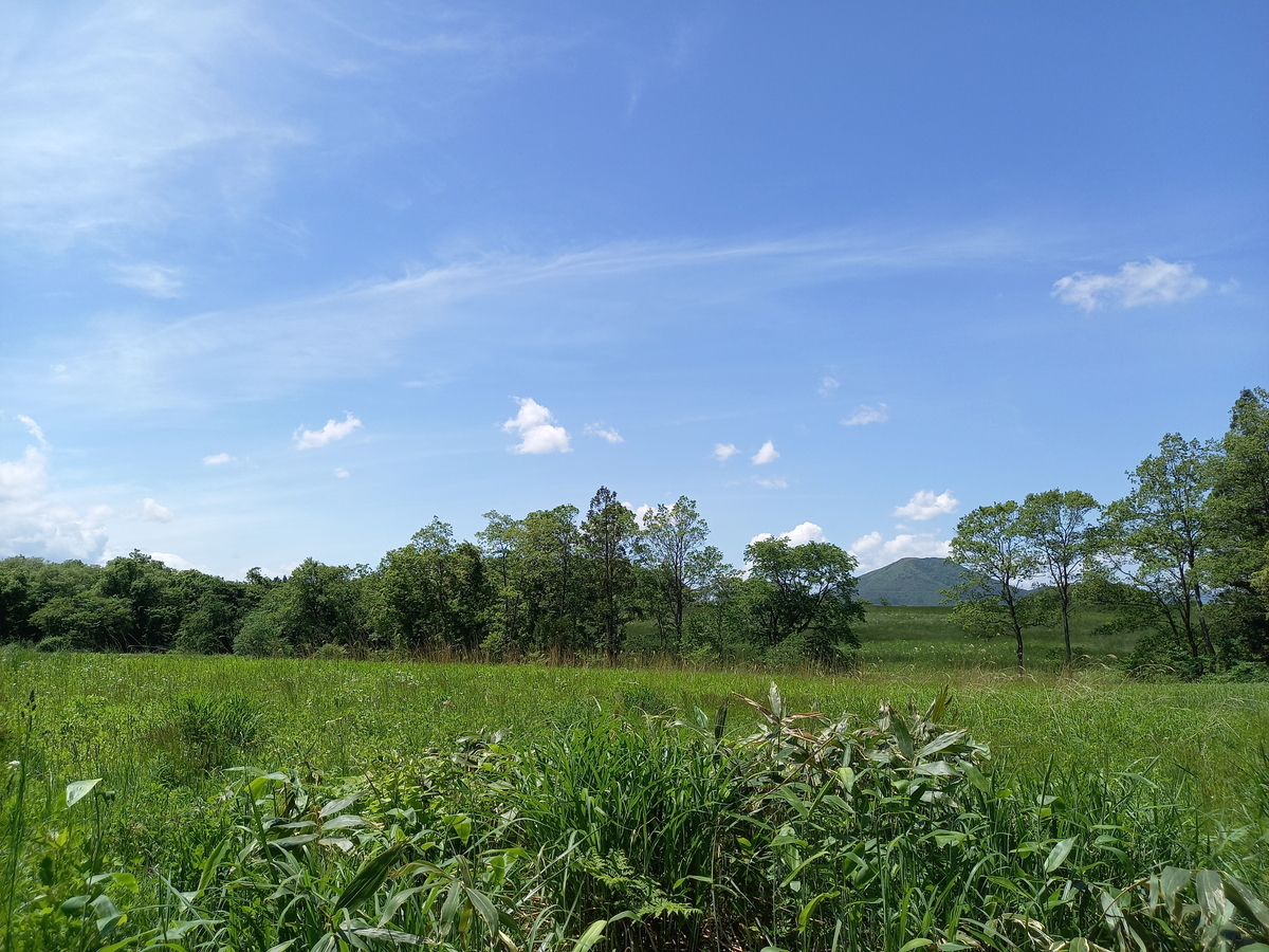 f:id:serow2012:20210815114306j:plain