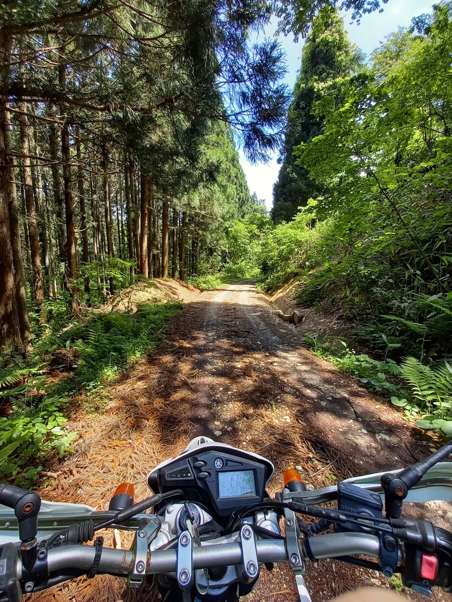 f:id:serow2012:20210822141714j:plain