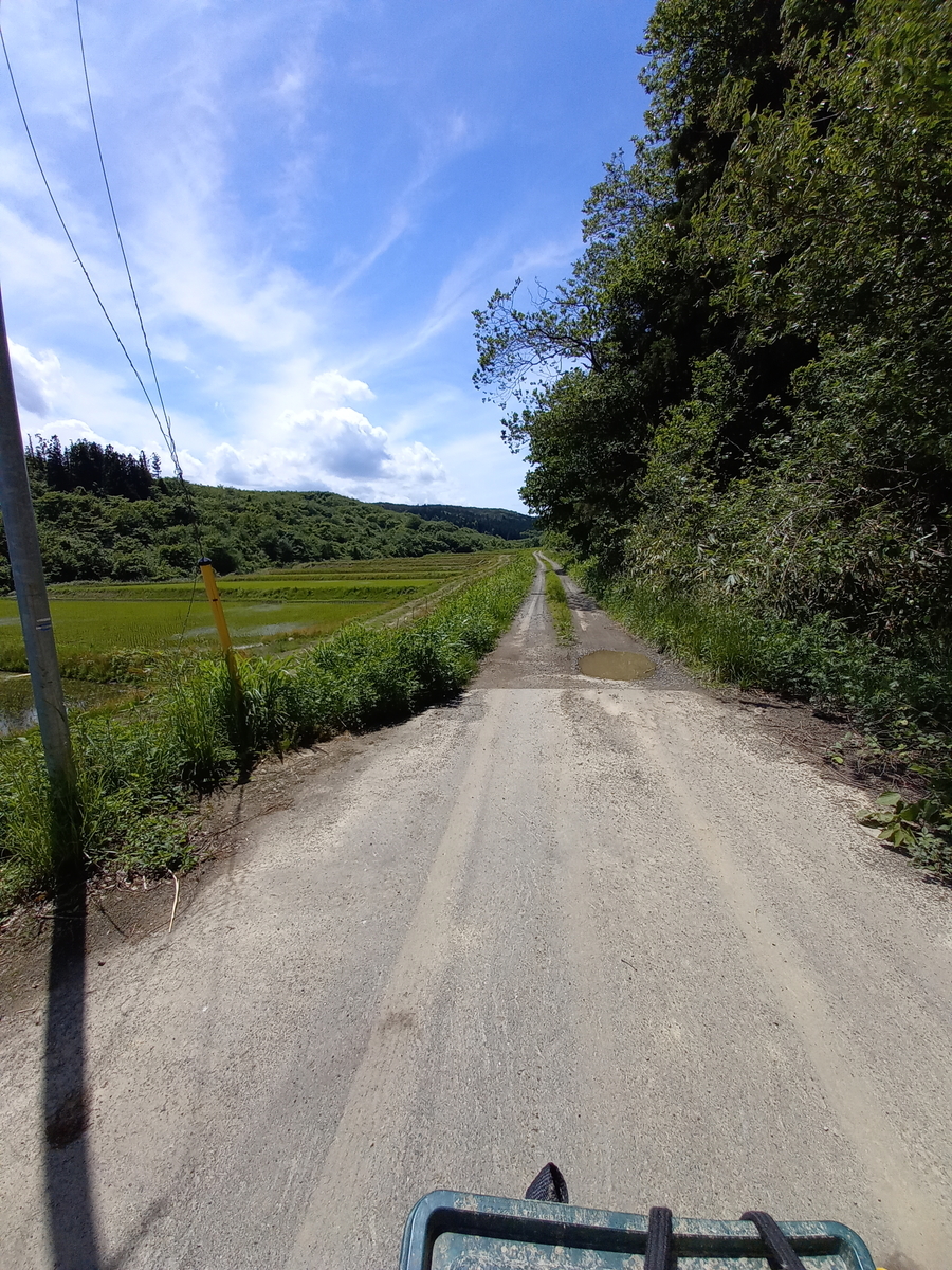 f:id:serow2012:20210824084802j:plain