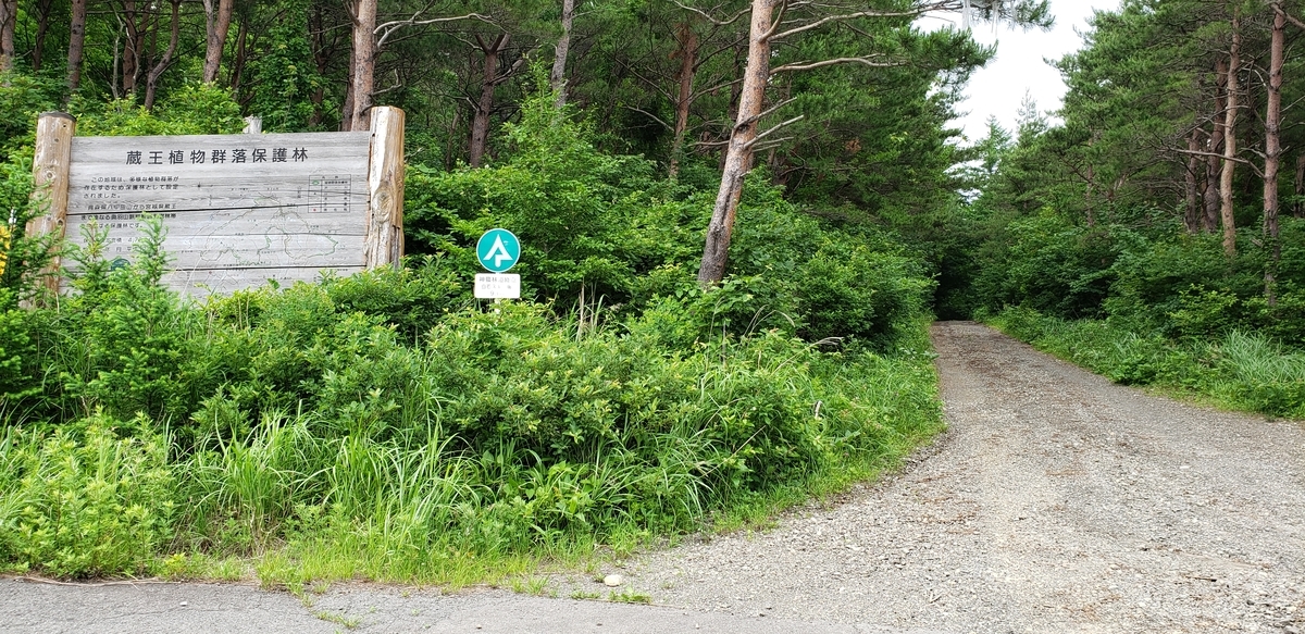 f:id:serow2012:20220312162851j:plain