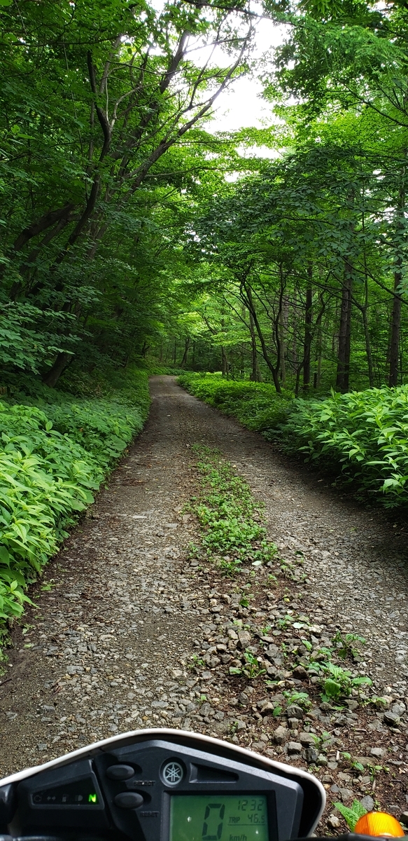 f:id:serow2012:20220312163009j:plain