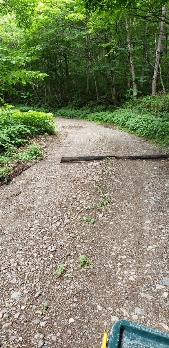 f:id:serow2012:20220312163109j:plain